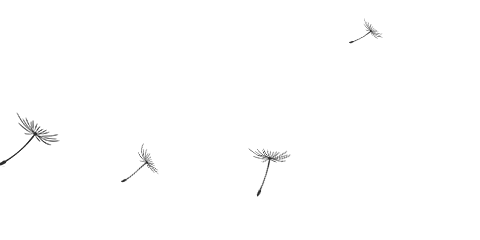 「材料」不锈钢材料合集