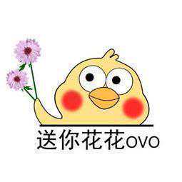 鲜花好看却容易凋谢？5种超实用方法制成干花，观赏期延长6个月