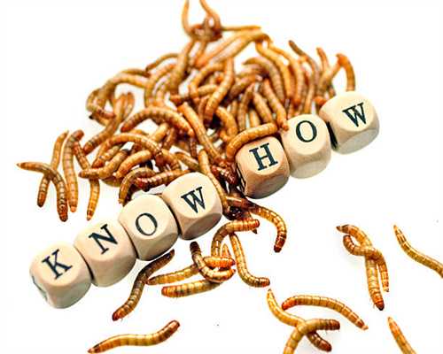 观察|上海M50涂鸦墙的拆除、“启涂”与新生 观察|上海M50涂鸦墙的拆除、“启涂”与新生