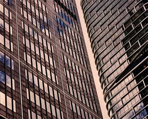 养丽格海棠，有3秘诀，花多色艳如玫瑰，花苞越来越多四季繁茂