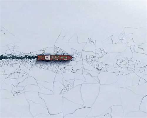 11种特别常见的万年青，叶色斑斓，在阴凉的室内也能养好