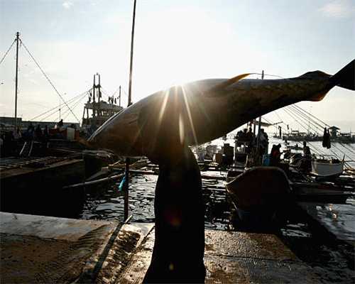 屡曝屡犯 七彩人生三年五登质量黑榜 屡曝屡犯 七彩人生三年五登质量黑榜