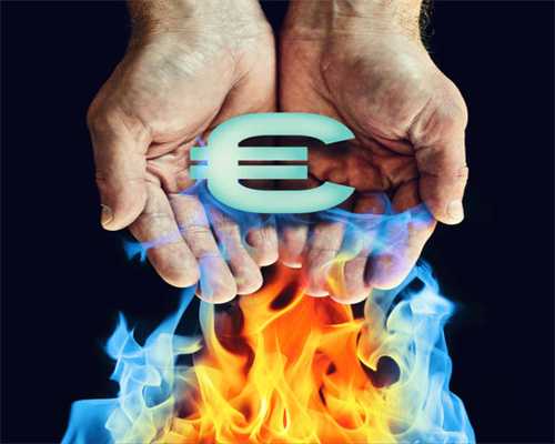 天竺葵花语是什么？天兰葵的养殖方法介绍