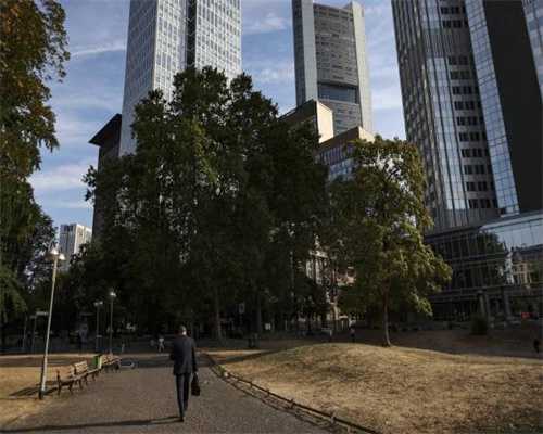 工程石英石(EQS)市场调研—2024年行业数据前景分析报告 工程石英石(EQS)市场调研—2024年行业数据前景分析报告