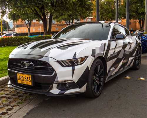 天竺葵扦插,教你“小诀窍”,呼呼冒白根,成活率100% 天竺葵扦插,教你“小诀窍”,呼呼冒白根,成活率100%