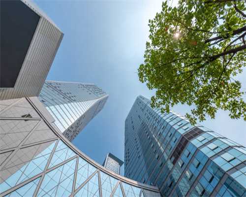 草坪围栏栅栏 花园花坛路边绿化带围栏 绿化围栏网