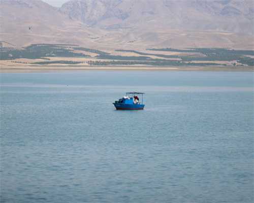 马桶盖火了 揭秘安华卫浴好卫尔