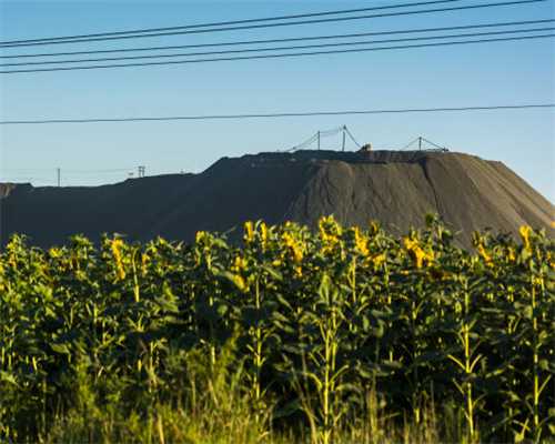 天霸T-Watch评测：高颜值智能手表，续航秒华为Watch