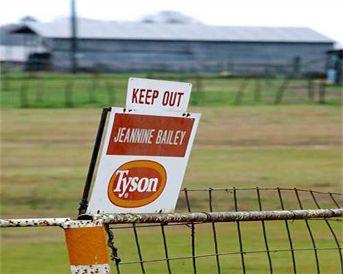 壁纸VS壁布:价格相差一倍,使用感受差多少?壁布更好但没必要 壁纸VS壁布:价格相差一倍,使用感受差多少?壁布更好但没必要