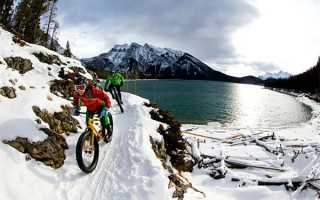 中怡康第22周数据:海信电视线上线下双料第一 中怡康第22周数据:海信电视线上线下双料第一