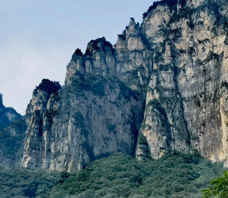 换窗看细节，丁基胶的优势有多大？